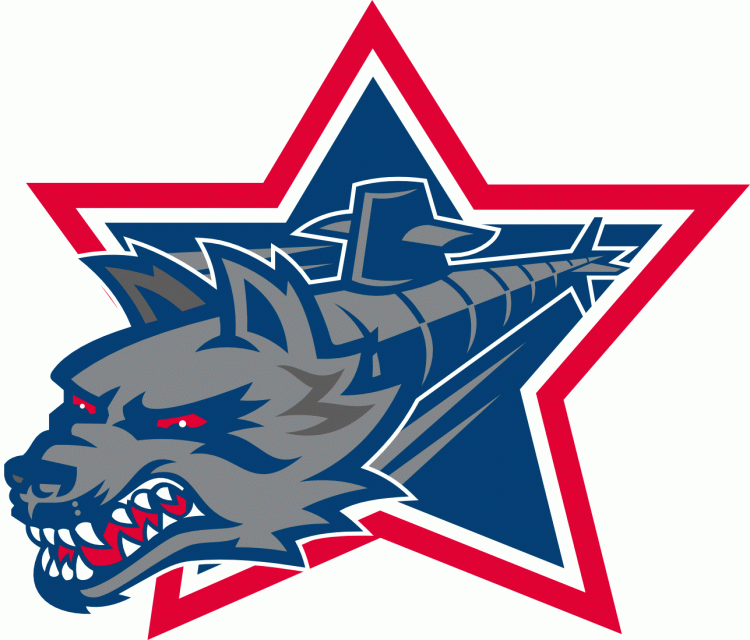 Hartford Wolf Pack 1997 98-2009 10 Secondary Logo iron on transfers for T-shirts